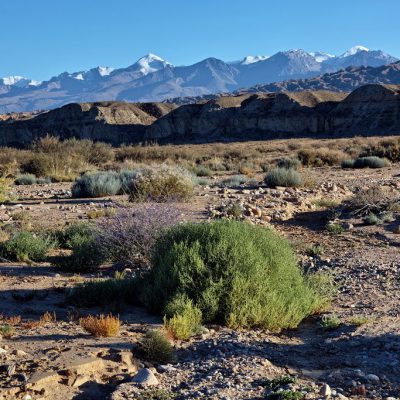 south-shore-of-issykul-lake