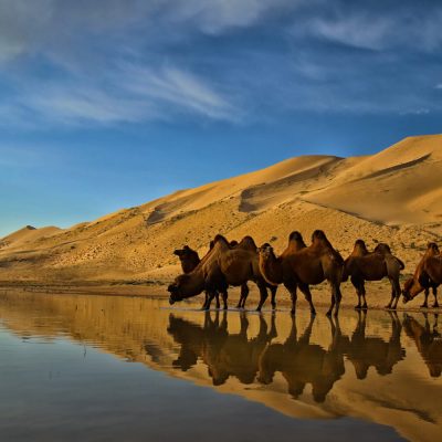 silk-road tours