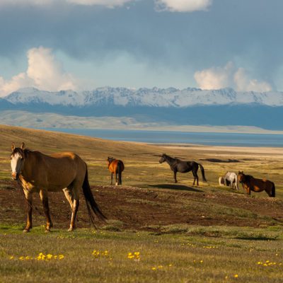 tours-to-Kyrgyzstan