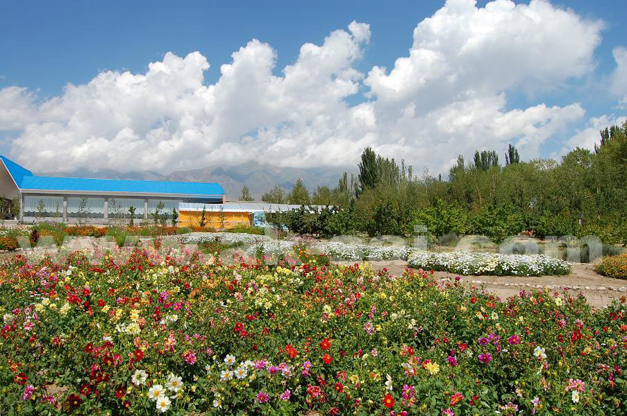 guest house