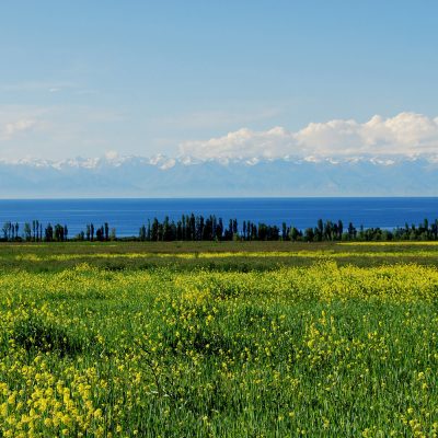 silk-road-tours