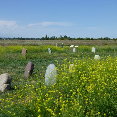 Nature of KG
