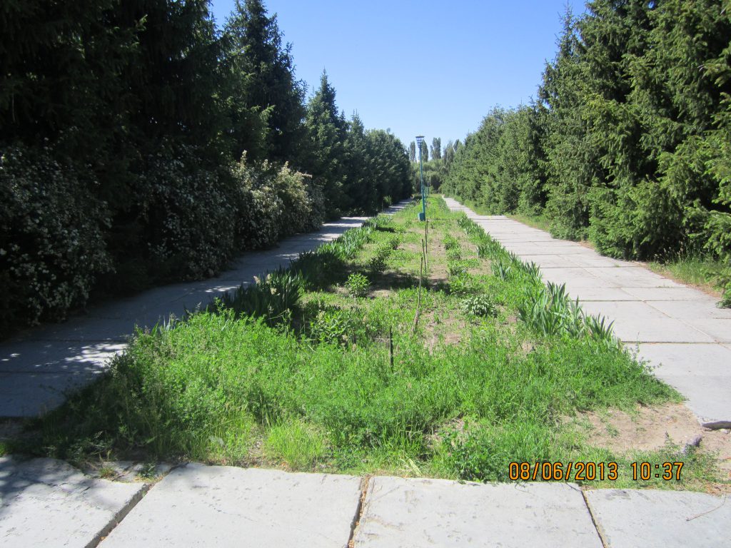 Zolotye peski