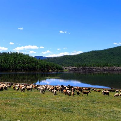 silk-road tours