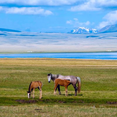 horseback riding tour