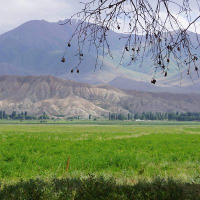 Nature of KG