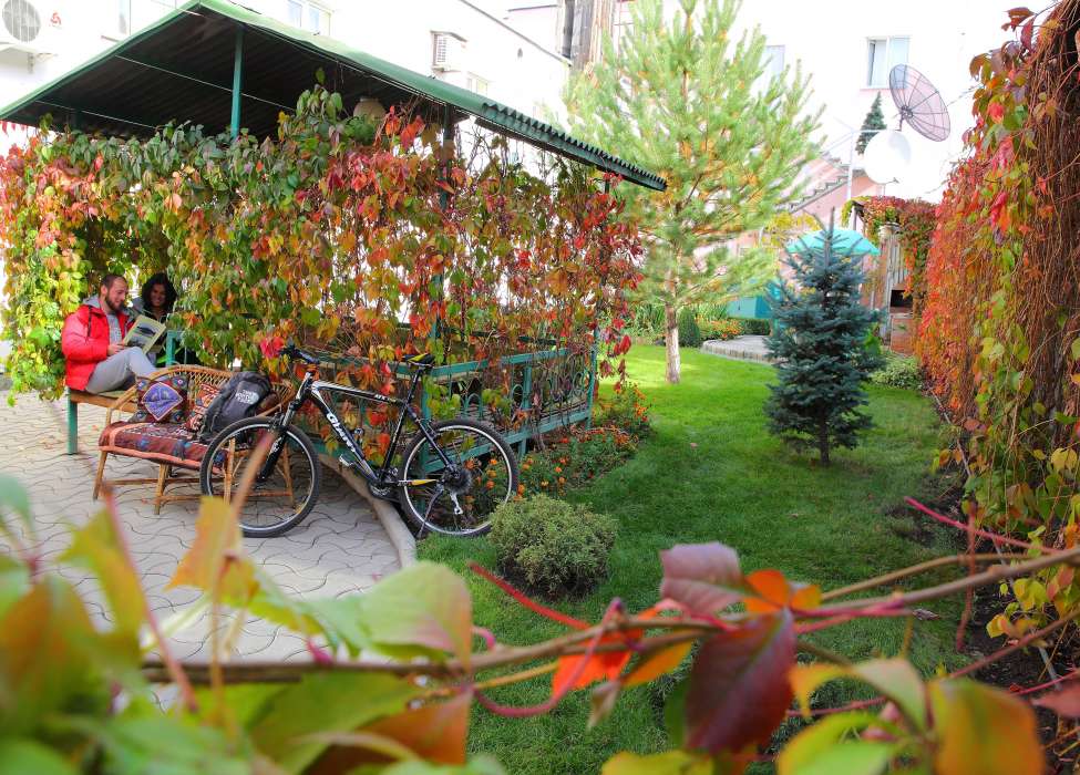 the-alpinist-hotel
