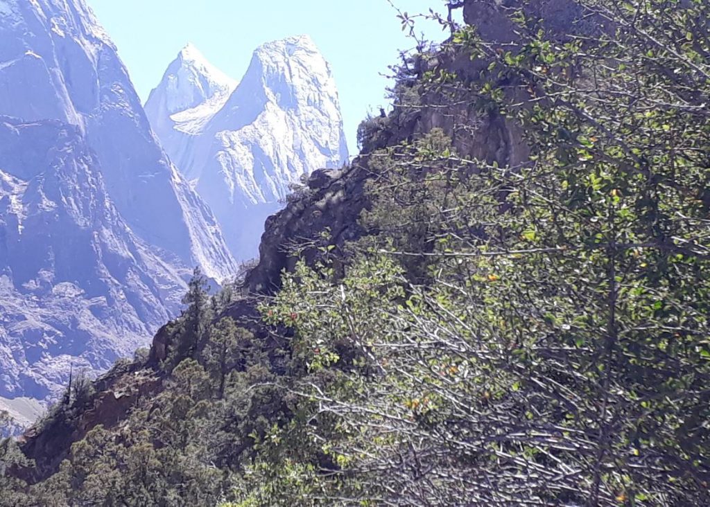 karavshin